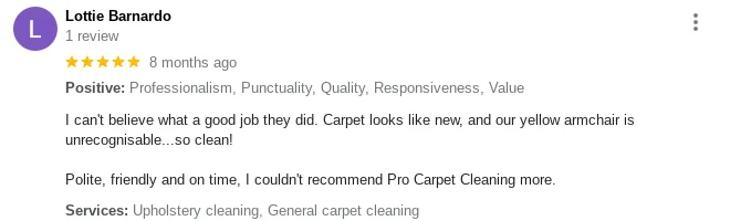 Carpet Cleaners In fleet review 7